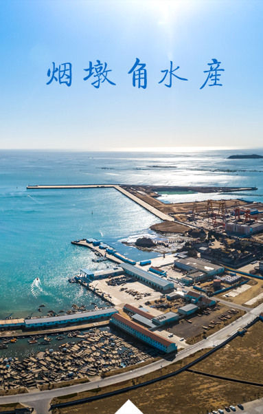平博在线